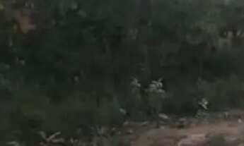 Imagem 4: Chácara DF Planaltina Bonsucesso