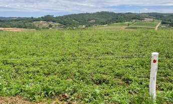 Imagem 4: He Lotes planos para chácaras! Parcelamos!