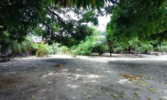 Imagem 6: Sitio de 4.800m² à Venda na Messejana Próximo da BR116!!!