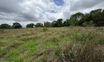 Imagem 5: Chácara de 6.000 m² em Caldazinha - Perto do Asfalto!