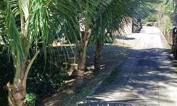 Imagem 7: Vendo casa com 3 dormitórios sendo 1 suíte com terreno de 15.600m² no Ribeirão da Ilha