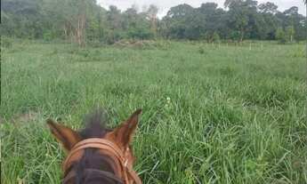 Imagem 5: Vendo 16.20 alqueires no município de Araguapaz