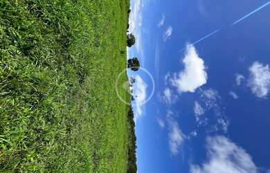 Imagem 7: CHÁCARA COM 4 ALQ AS MARGENS DA GO-080, RICA EM BENFEITORIAS E ÁGUA, Á 7KM DE PETROLINA DE