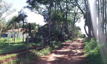 Imagem 2: CHÁCARA NERÓPOLIS - 2 CASAS - 2 GALPÕES - 22 000m2