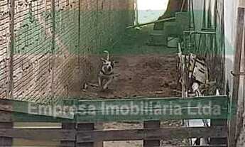 Imagem 6: Terreno-À VENDA-Centro-Manaus-AM