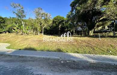 Imagem 2: EXCLUSIVIDADE SONIA BRANDALISE!