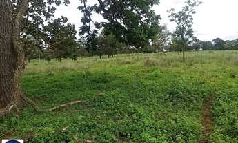 Imagem 7: Fazenda à Venda em Amorinópolis/GO 84 Alqueires