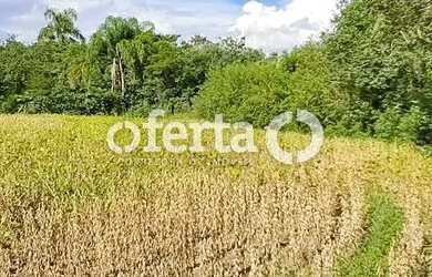 Imagem 3: OFERTA 1479 - CHÁCARA EM ARAUCÁRIA