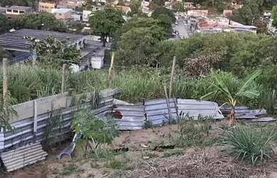 Imagem 6: Terrenos planos prontos para construir