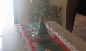 Imagem 5: Casa escriturada e averbada 4 dormitórios