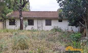 Imagem 5: Terreno Em Colombo