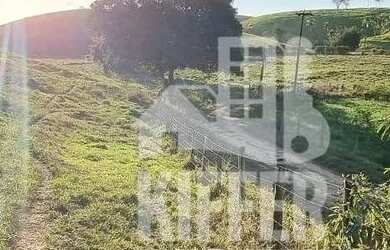 Imagem 3: Fazenda com 3 dormitórios à venda, 1210000 m² por R$ 6.000.000,00 - Reginópolis - Silva Ja