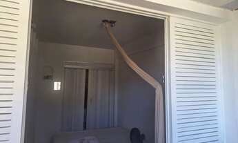 Imagem 2: Aluguel para temporada de Carnaval + 02 camarotes Glamour (Perícles