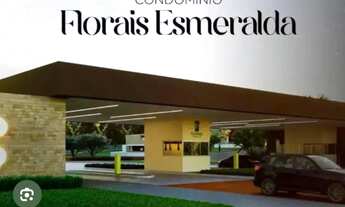 Imagem 3: Florais Esmeralda R$260,000
