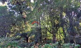 Imagem 2: Lote em rua 21 - Alpes - São Francisco de Paula/RS