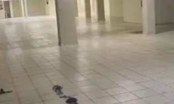 Imagem 4: Oportunidade Única - Lojão de 490m² com Logística Imbatível e Até 13 Vagas! Venda/Aluguel