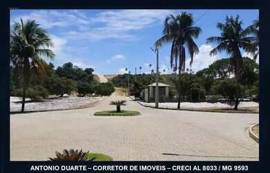 Imagem 4: ADC - MARAGOGI - TERRENO 485M² COM VISTA INCRÍVEL DO MAR