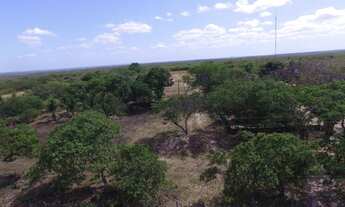 Imagem 7: Excelente Oportunidade de Investimento!