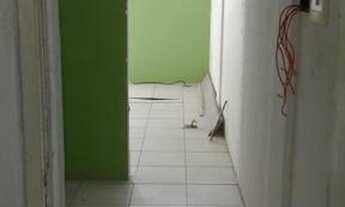 Imagem 5: Aluguel de Salas Comerciais - Rua Bahia- Rua principal do bairro de Tancredo Neves