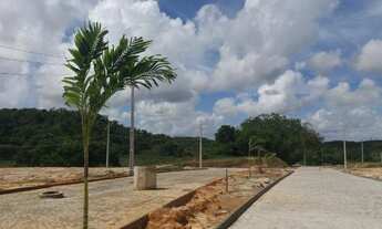 Imagem 4: Terrenos em Camaçari