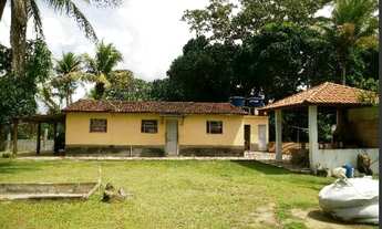 Imagem 5: Vendo sítio no Maria Jape