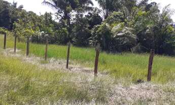 Imagem 5: Vendo Fazenda em Rorainópolis, Roraima