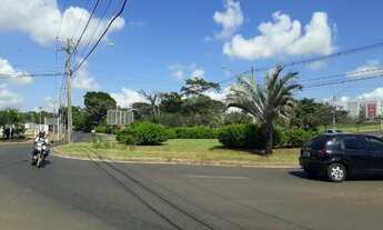 Imagem 6: Maravilhosa Esquina Viva