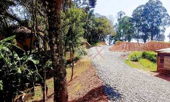 Imagem 3: Chácara com 1 dormitório à venda, 30000 m² por R$ 1.650.000,00 - Butiatuva - Campo Largo/P