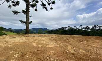 Imagem: Terreno com vista e araucária com 1600