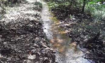 Imagem: SITIO RURAL em DESTERRO DE ENTRE RIOS