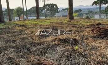 Imagem 7: PIRAQUARA - Terreno Padrão - Volteio