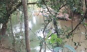 Imagem 2: Chacara samambaia