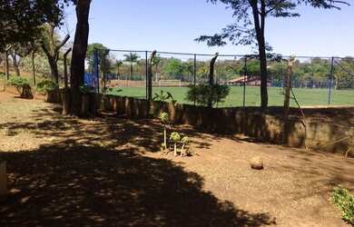 Imagem 4: SãO JOSé DA LAPA - Sítio - Centro