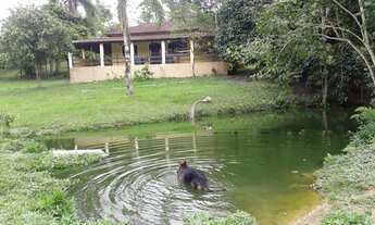 Imagem 6: Linda Fazenda 40 alqueires Formada, Tanques de Peixes, Sede (Willian Ricardo