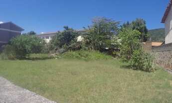 Imagem 4: Excelente terreno plano!