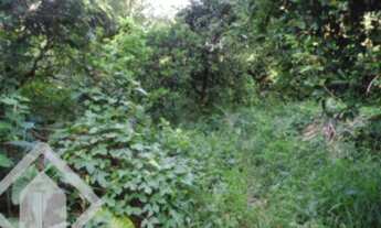 Imagem 7: PORTO ALEGRE - Casa Padrão - Ipanema