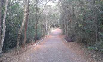 Imagem: Nova Lima - Loteamento/Condomínio - Pasárgada