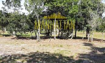 Imagem 5: INCRÍVEL TERRENO COM 30.OOO M² EM BOI PEBA - CAIRU BA