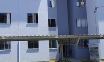 Imagem 2: JARAGUá DO SUL - Padrão - Água verde