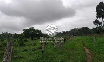 Imagem 4: Ariquemes - Sítio - 20 alqueires