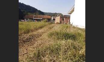 Imagem 4: TE31 Terreno em Três Coroas, topografia plana