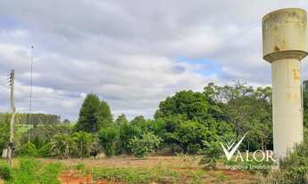 Imagem 6: Sítio beira da rodovia para venda próximo da cidade de Iacanga