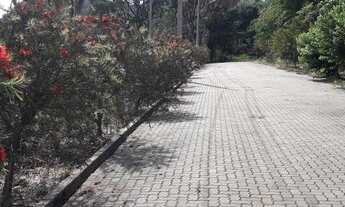 Imagem 7: Lindos Terrenos Loteamento Novo em Picada Café! REF: 410