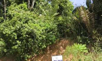 Imagem 6: Area bem localizada, final da av Pref Aristeu, excelente p lotear ou criar area industria