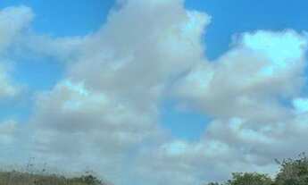 Imagem: Linda Fazenda com 497 hectares na região