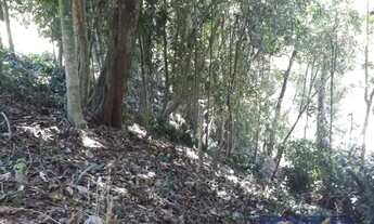 Imagem 7: Petrópolis - Terreno Padrão - Bingen