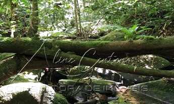 Imagem 3: Terreno para Venda em Biguaçu, Boa Vista