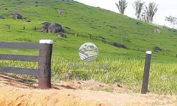 Imagem 3: Machadinho D'Oeste - Sítio - Machadinho D'Oeste