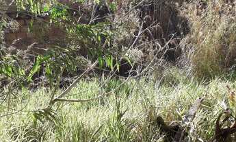 Imagem 3: Excelente lote no Jardim Montanhês