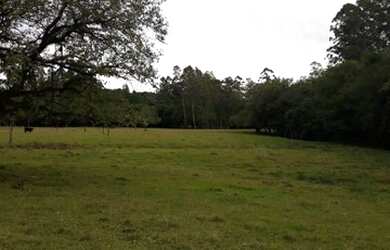 Imagem 7: Sítio 1 Dormitório(s) no Bairro Linha Nova Baixa em Presidente Lucena REF: 210205